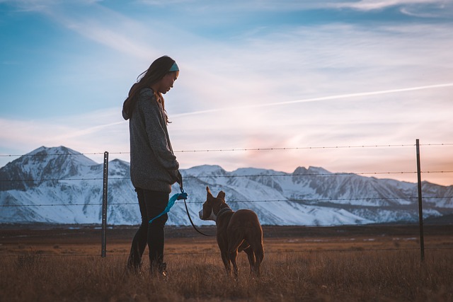 Eine Frau steht mit einem Hund an der Leine auf einem offenen Feld. Beide blicken auf einen Stacheldrahtzaun. Schneebedeckte Berge und ein farbenfroher Himmel bei Sonnenuntergang dienen als Hintergrund. Die Frau trägt eine Jacke und ein Stirnband. Der Hund blickt in die Ferne.