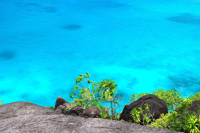 Blick von einer Klippe auf das klare, türkisfarbene Meerwasser. Dieses versteckte Juwel, ein wahrer Geheimtipp für Ruhesuchende, bietet üppige grüne Sträucher und Pflanzen in der Nähe der Klippenkante. Sonnenlicht beleuchtet die Felsen und das Wasser darunter und schafft eine lebendige Küstenatmosphäre, die perfekt für jeden ist, der vom Auswandern träumt.