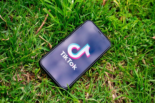 Ein Smartphone mit dem TikTok-Logo auf dem Bildschirm liegt auf einer Grasfläche und weist auf Möglichkeiten hin, durch die Monetarisierungsfunktionen der Plattform Geld zu verdienen.